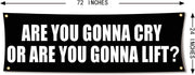 Are You Gonna Cry Or Are You Gonna Lift 72x24 Gym Flag with 4 Grommets
