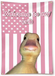 Welcome to My Crib Duck Flag 2x3 Feet Funny Flags
