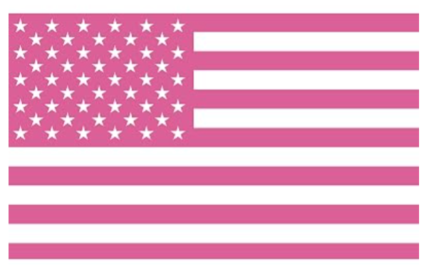 Custom American US Flag with Picture